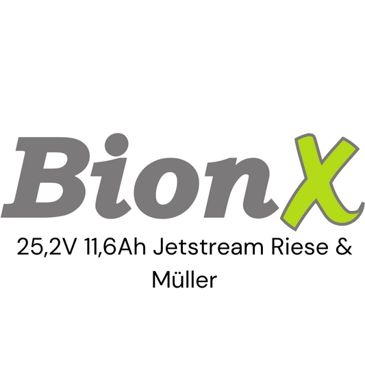 BionX 25,2V Jetstream Riese & Müller E-Bike Akku Zellentausch