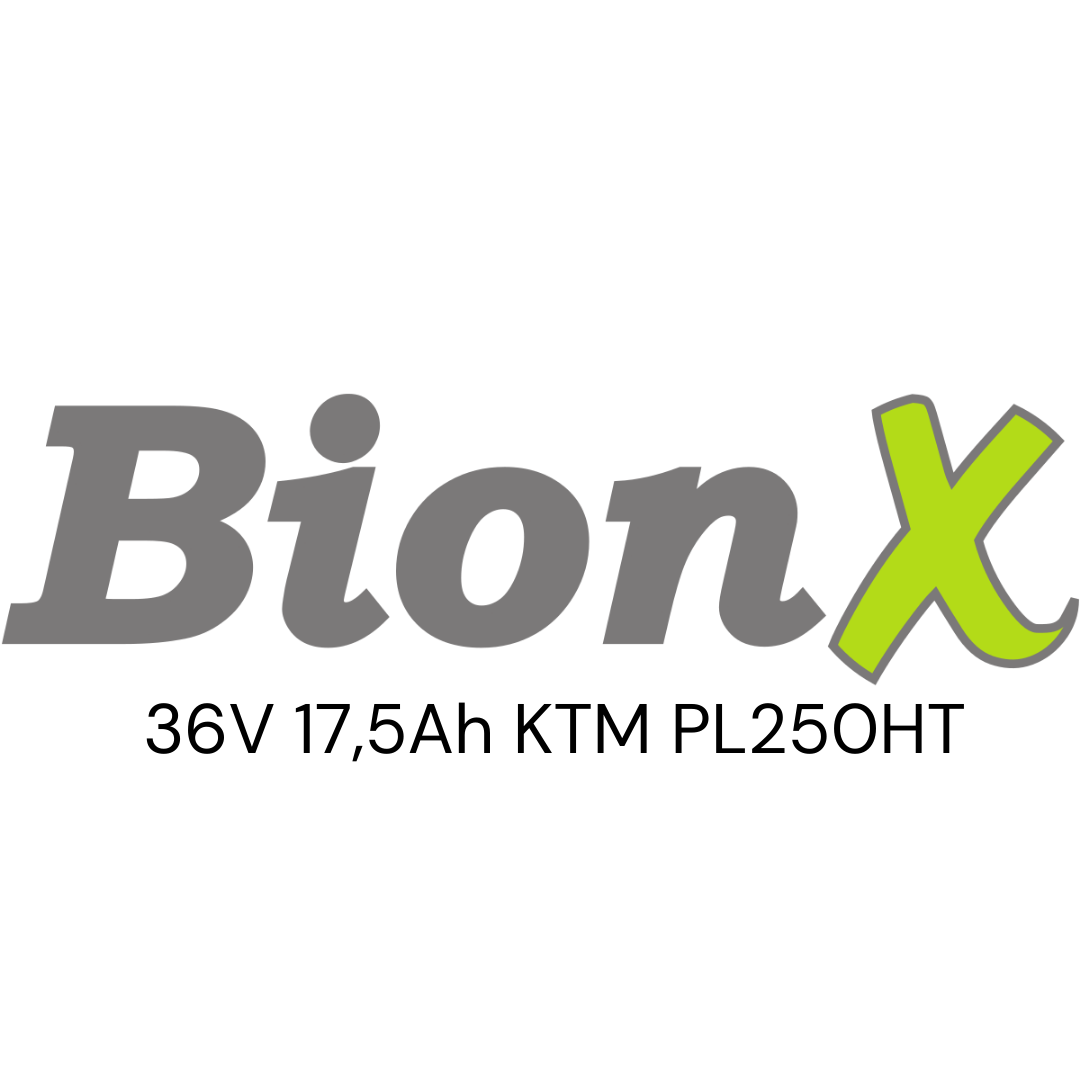 BionX 36V KTM PL250HT E-Bike Akku Zellentausch