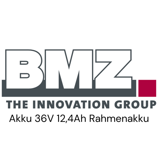 BMZ Akku 36V Rahmenakku E-Bike Akku Zellentausch Standard