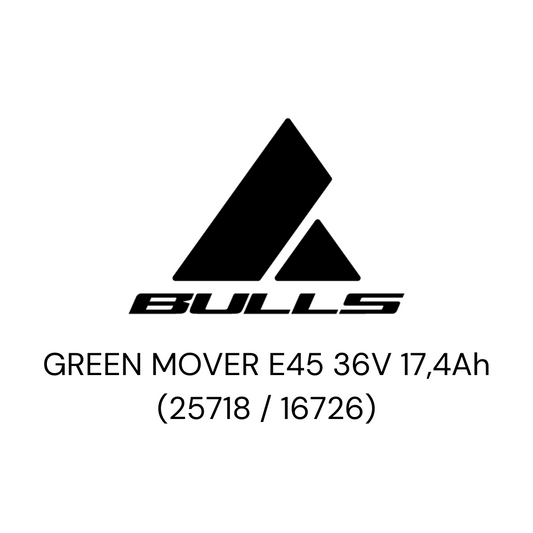 BULLS GREEN MOVER E45 36V(25718 / 16726) Zellentausch
