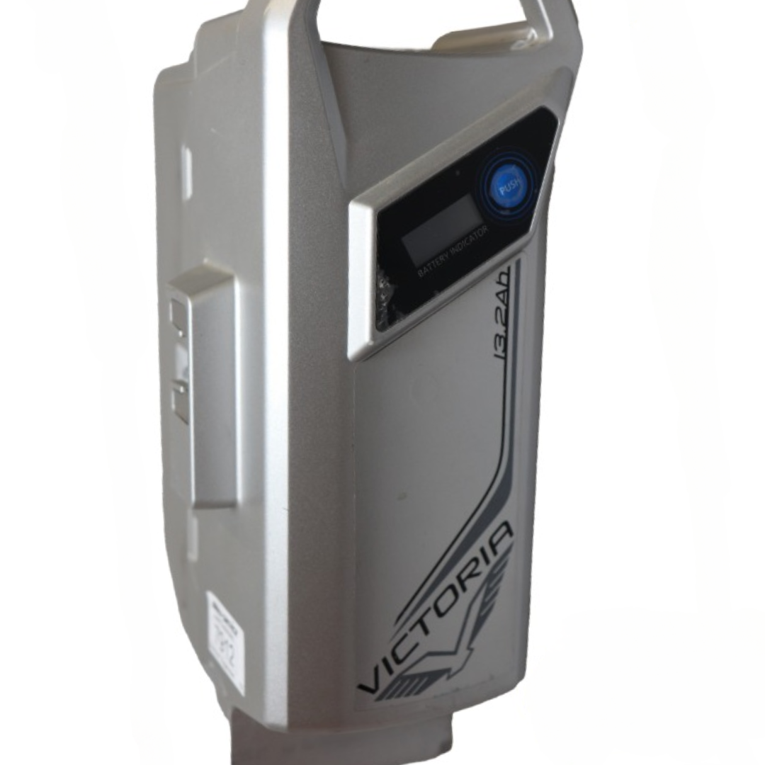 DERBY CYCLE PANASONIC LCD 36V (NKY440B2 / NKY441B2) - Zellentausch