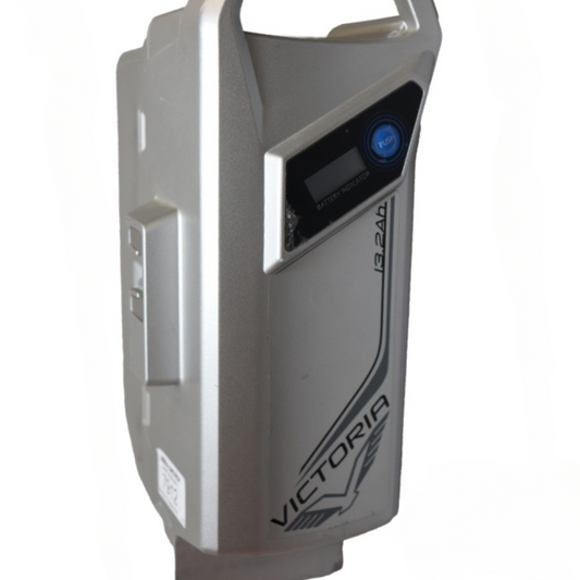 DERBY CYCLE PANASONIC LCD 36V (NKY440B2 / NKY441B2) - Zellentausch