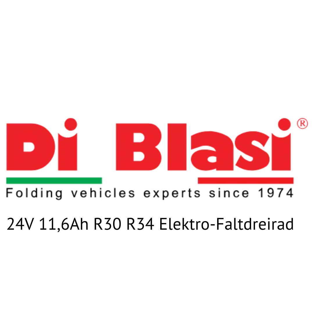 Di Blasi 24V R30 R34 Elektro-Faltdreirad E-Bike Akku Zellentausch