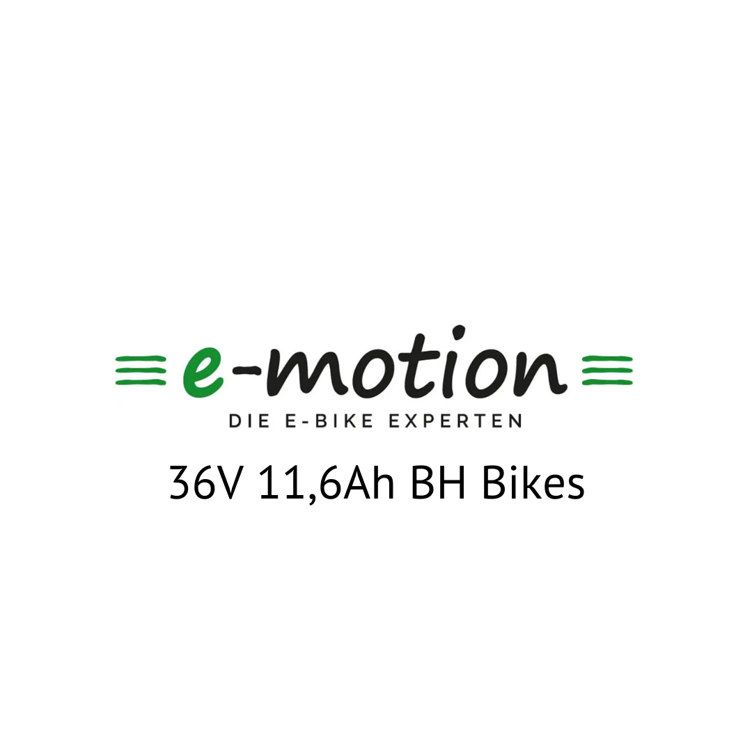 Easy Motion 36V BH Bikes E-Bike Akku Zellentausch