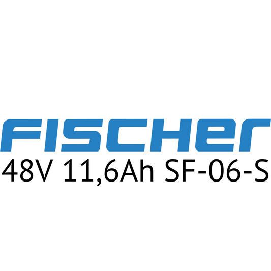 FISCHER 48V SF-06-S Unterrohr E-Bike Akku Zellentausch