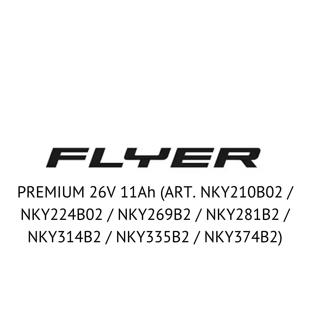 FLYER PREMIUM 26V (ART. NKY210B02 / NKY224B02 / NKY269B2 / NKY281B2 / NKY314B2 / NKY335B2 / NKY374B2) - Zellentausch