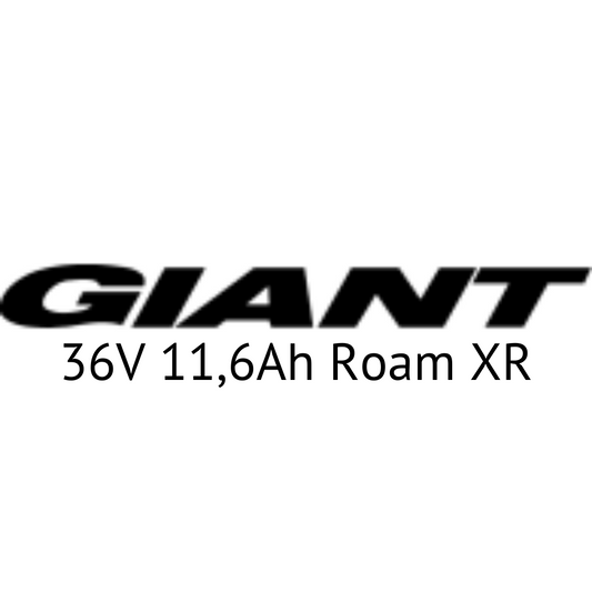 Giant 36V Roam XR Hybrid E-Bike Akku Zellentausch