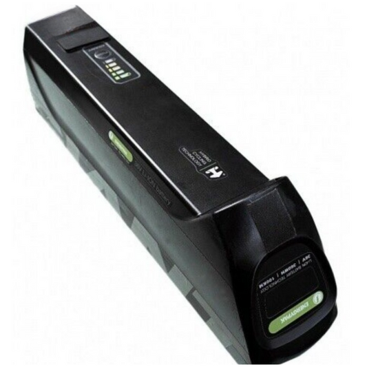 GIANT ENERGYPAK - ZELLENTAUSCH - 360 WH - RAHMEN 17,5 AH