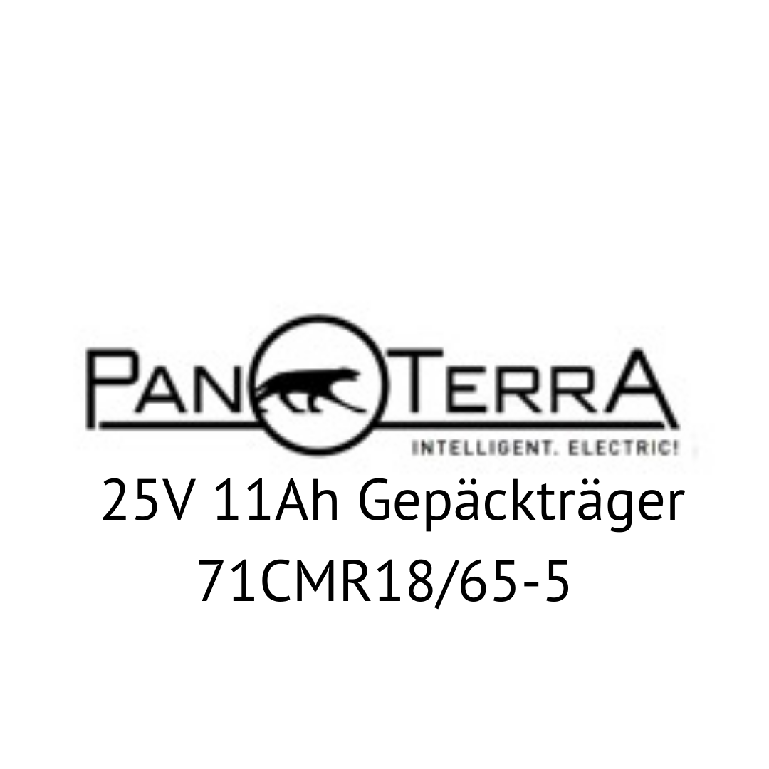 Panterra 25V Gepäckträger 71CMR18/65-5 E-Bike Akku Zellentausch
