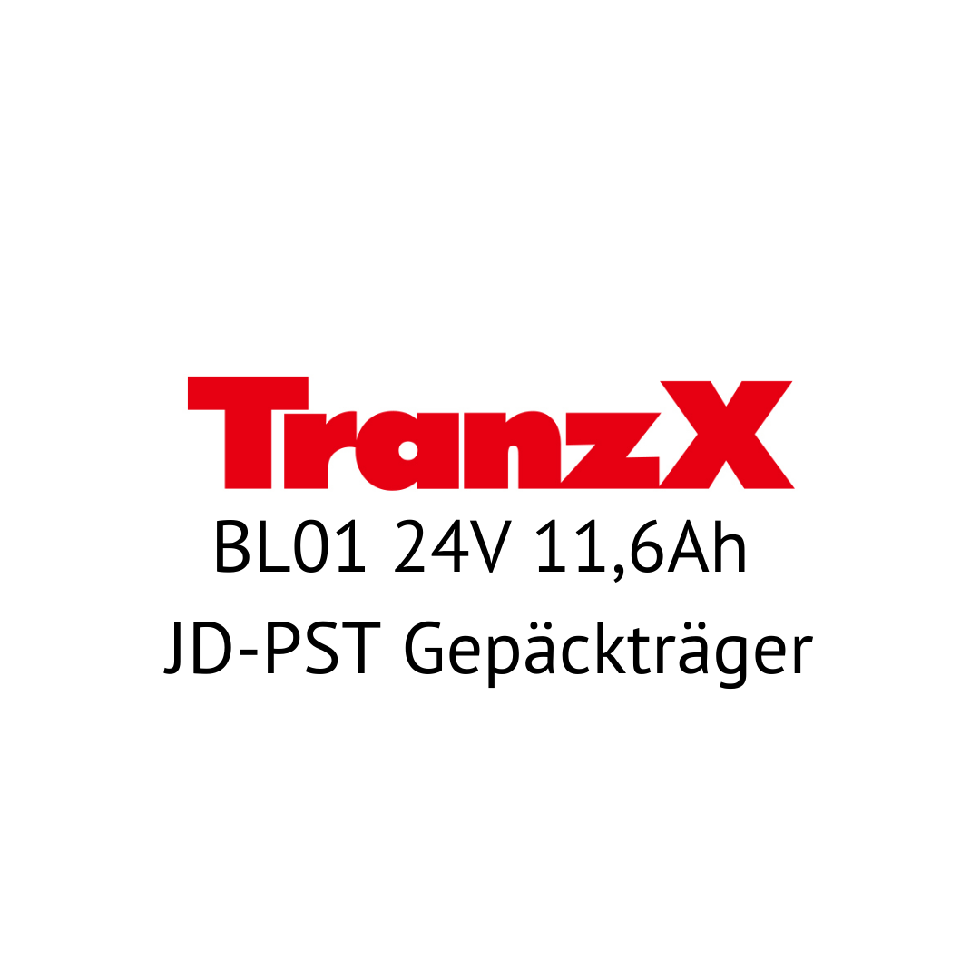 TranzX BL01 24V JD-PST Gepäckträger E-Bike Akku Zellentausch