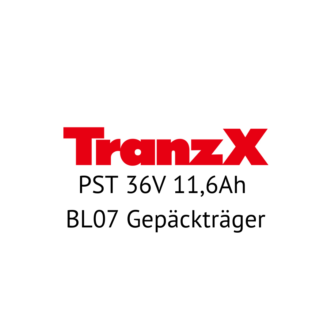 TranzX PST 36V BL07 Gepäckträger E-Bike Akku Zellentausch