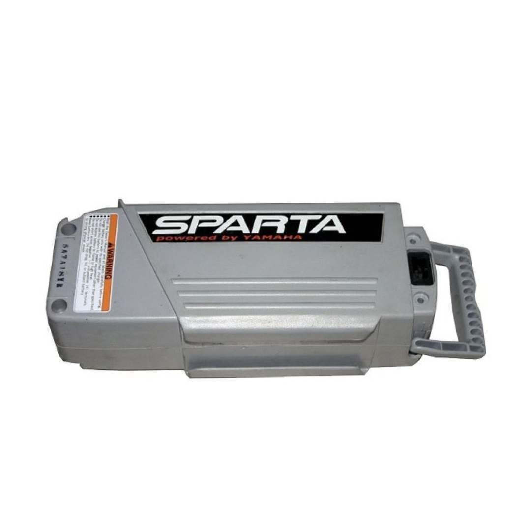YAMAHA SPARTA PHAROS 24V - Zellentausch