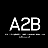 A2B 36V Hybrid 24 26 Ultra Motor E-Bike Akku Zellentausch