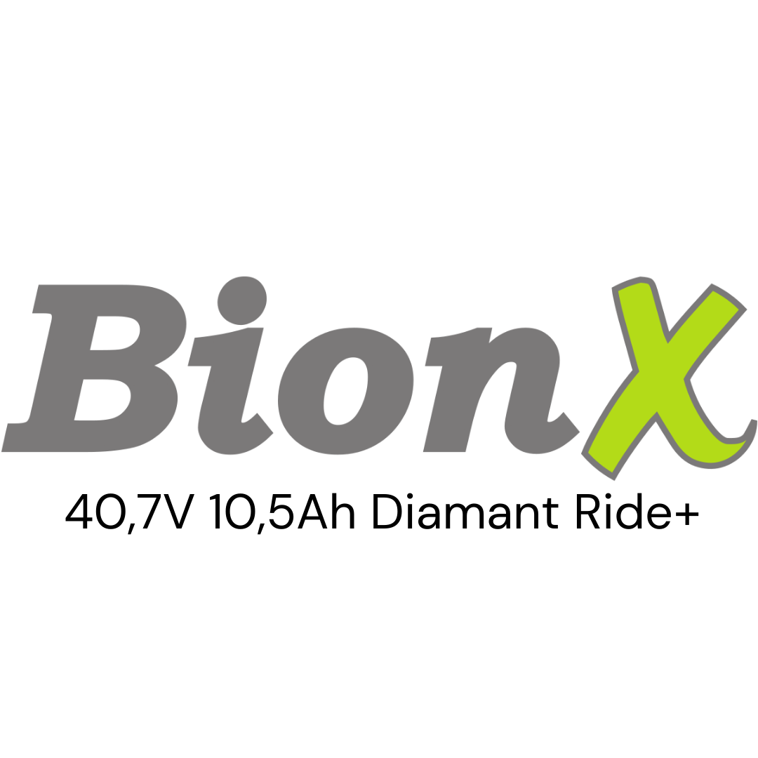 BionX 40,7V Diamant Ride+ Gepäckträger E-Bike Akku Zellentausch