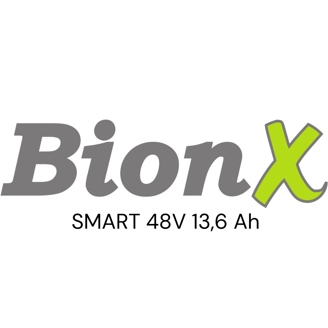BIONX SMART 48V (01-4271) Zellentausch