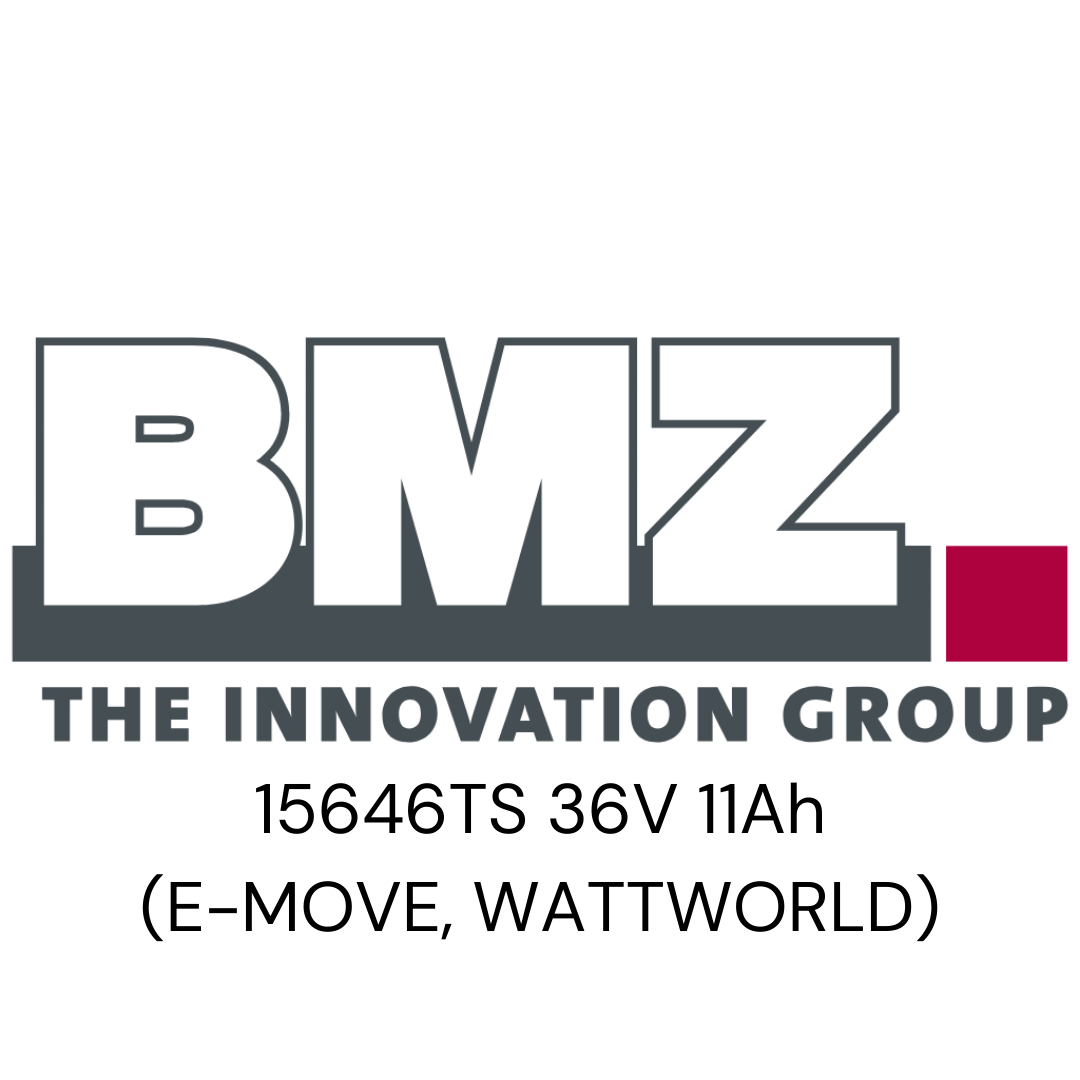 BMZ 15646TS 36V(E-MOVE, WATTWORLD) Zellentausch