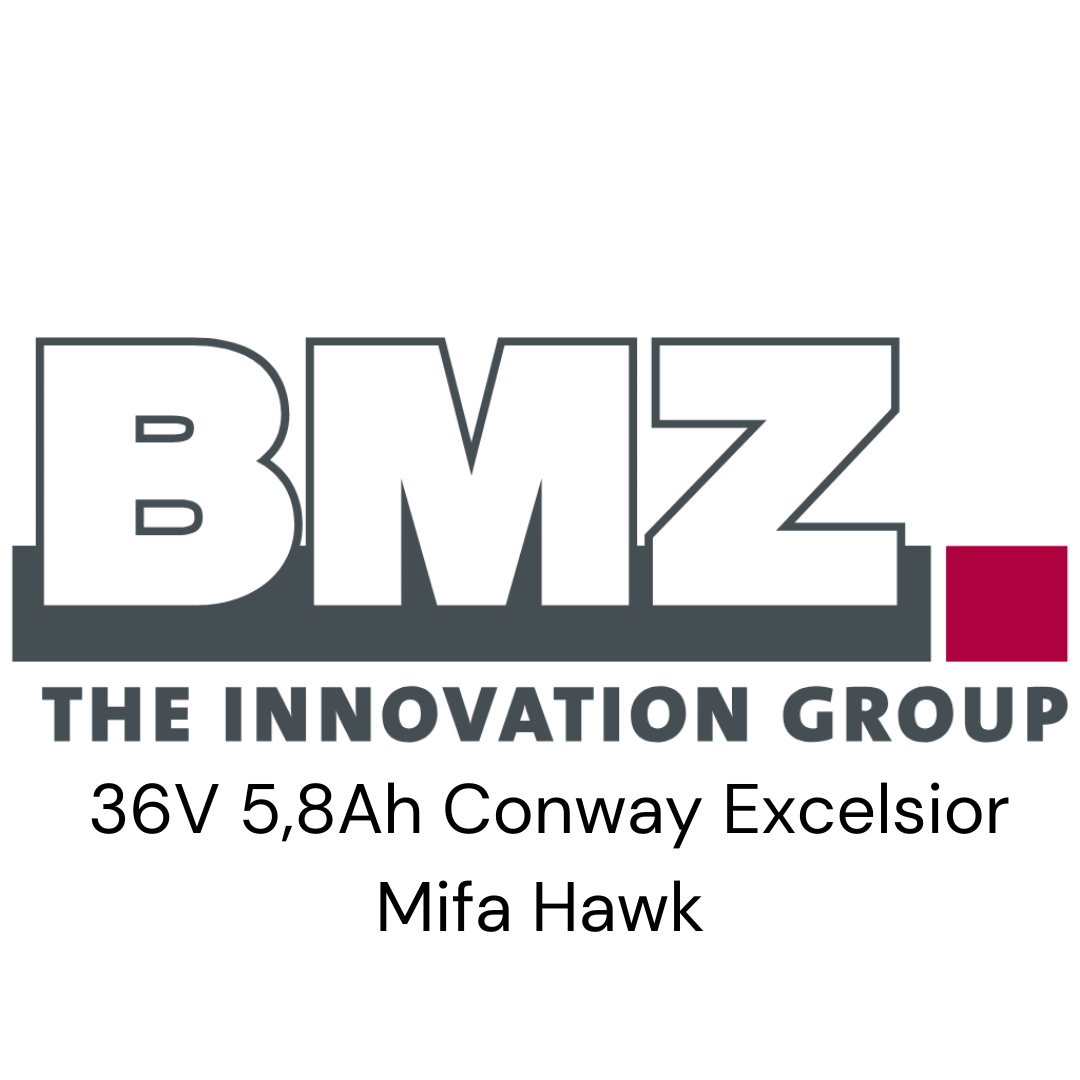 BMZ 36V Conway Excelsior Mifa Hawk E-Bike Akku Zellentausch