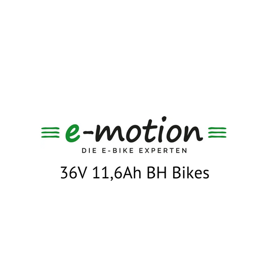 Easy Motion 36V BH Bikes E-Bike Akku Zellentausch