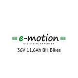 Easy Motion 36V BH Bikes E-Bike Akku Zellentausch