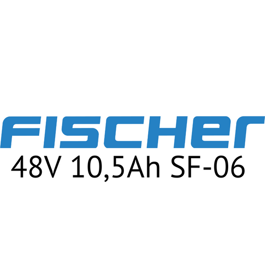 FISCHER 48V SF-06 Unterrohr E-Bike Akku Zellentausch
