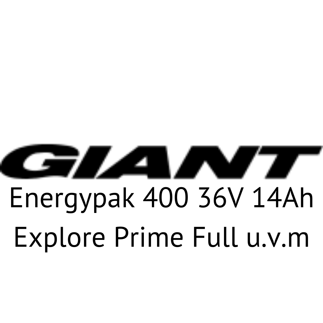 Giant Energypak 400 36V Explore Prime Full u.v.m E-Bike Akku Zellentausch