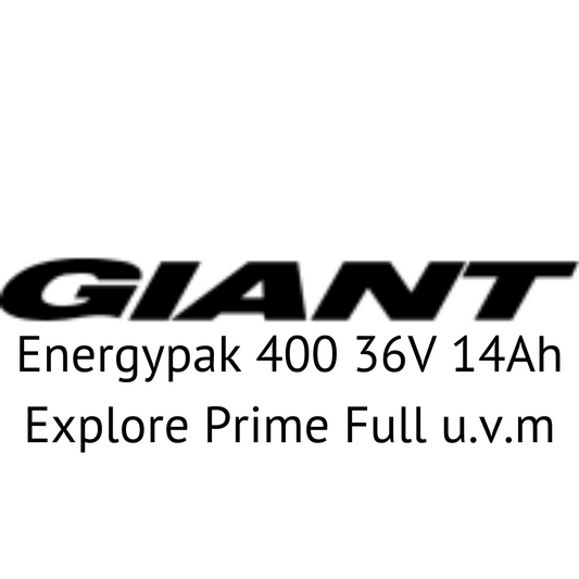 Giant Energypak 400 36V Explore Prime Full u.v.m E-Bike Akku Zellentausch