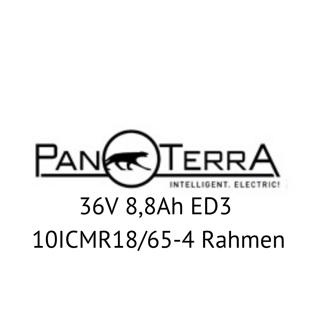 PanTerra 36V ED3 10ICMR18/65-4 Rahmen E-Bike Akku Zellentausch