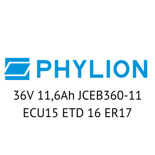 Phylion 36V JCEB360-11 ECU15 ETD 16 ER17 E-Bike Akku Zellentausch