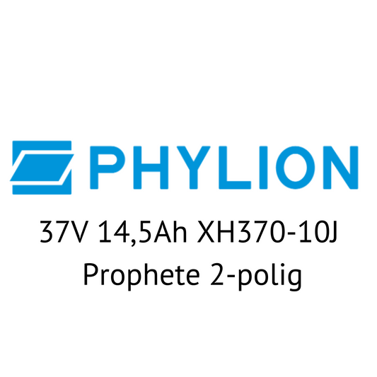 Phylion 37V XH370-10J Prophete 2-polig E-Bike Akku Zellentausch