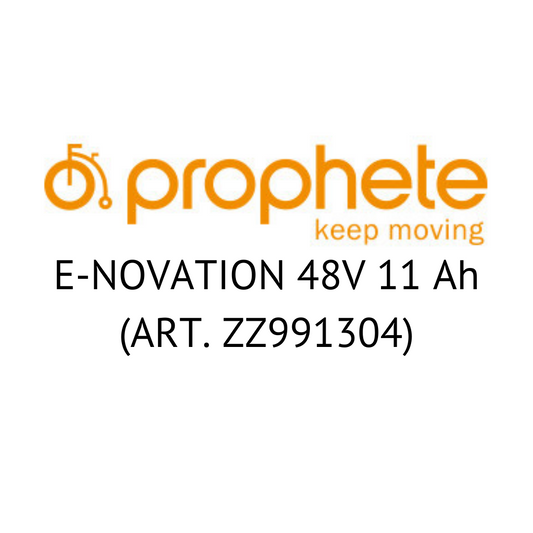 PROPHETE E-NOVATION 48V (ART. ZZ991304) - Zellentausch