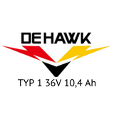 STELLA / DEHAWK TYP 1 36V - Zellentausch