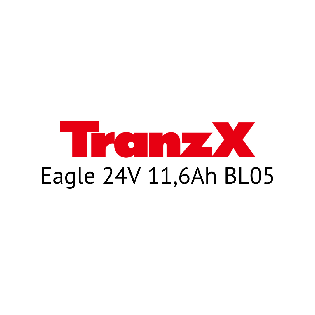 TranzX Eagle 24V BL05 E-Bike Akku Zellentausch