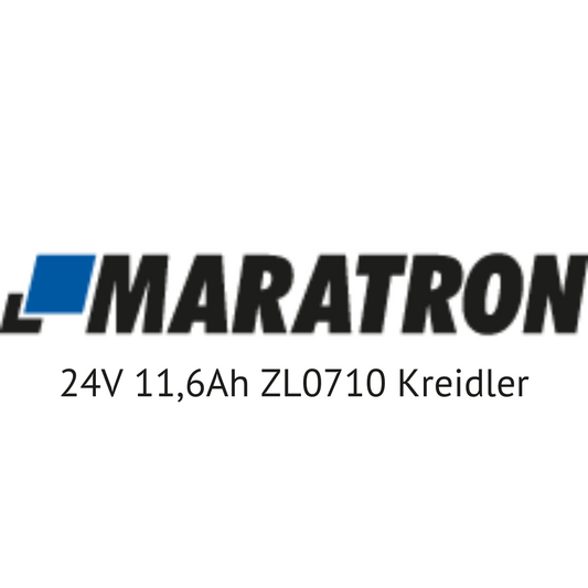 Trio Maratron 24V ZL0710 Kreidler Prophet E-Bike Akku Zellentausch